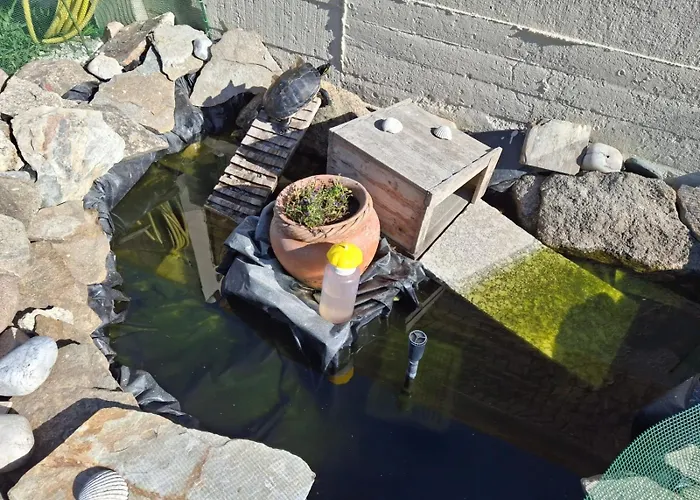 Prázdninový dům Bajo Independiente De Casa En *